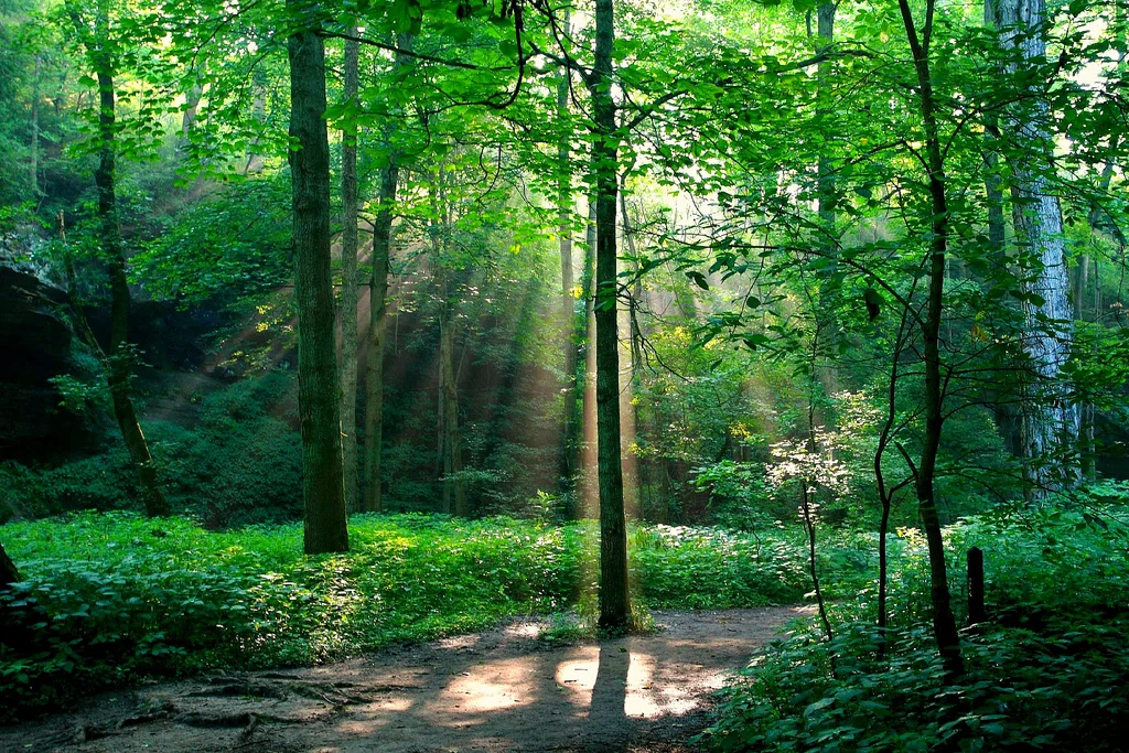 Photo credit: Tennessee Wanderer / Foter.com / CC BY-ND