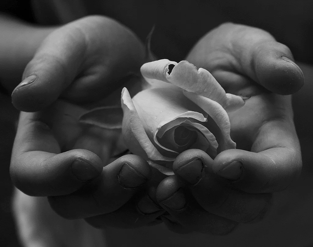 Photo credit: Pink Sherbet Photography / Foter.com / CC BY