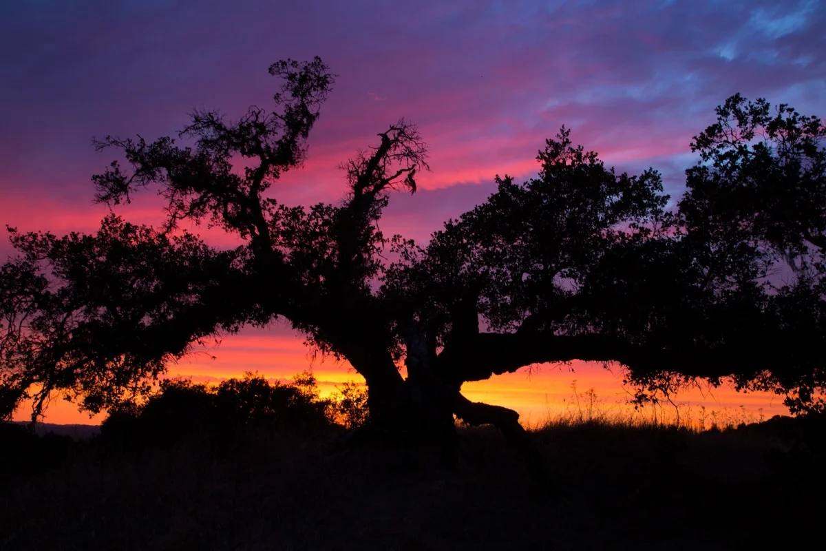 Photo credit: Don McCullough via Foter.com / CC BY
