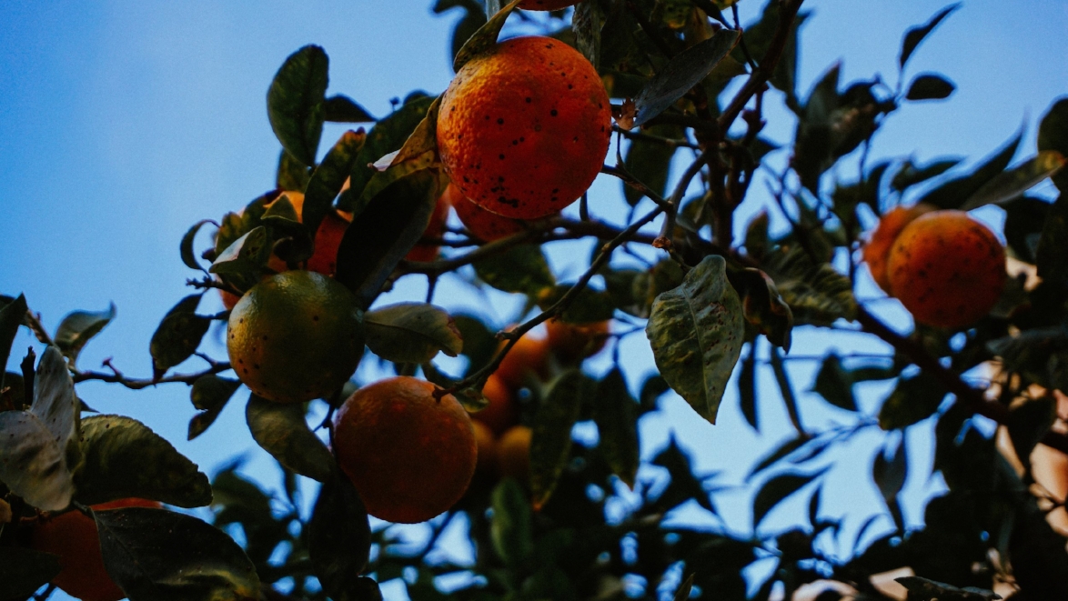 / / Foter / CC BY