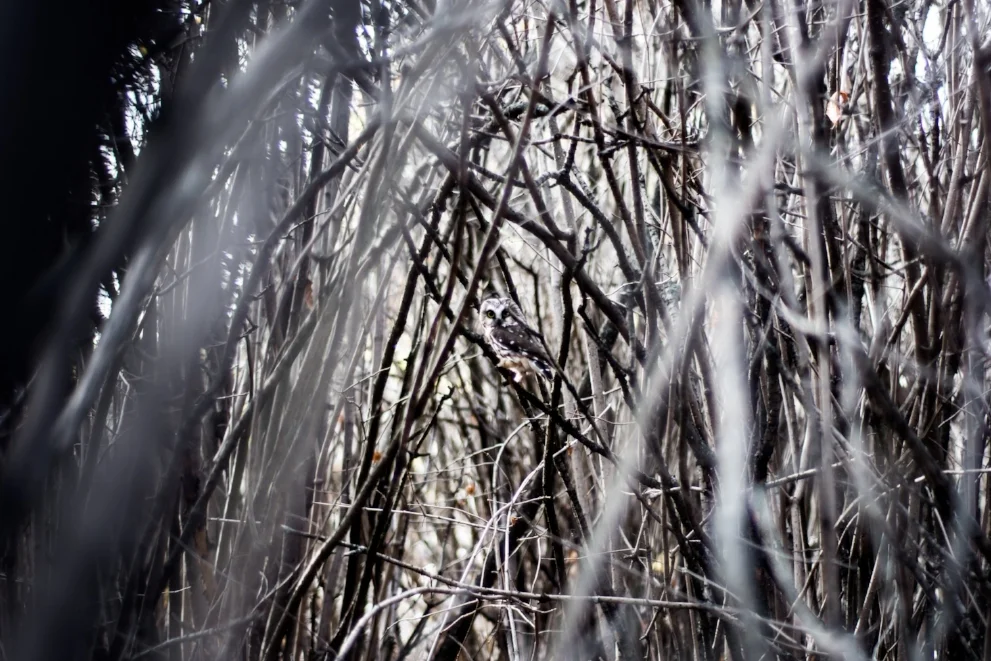 Yoshikazu TAKADA / Foter / CC BY