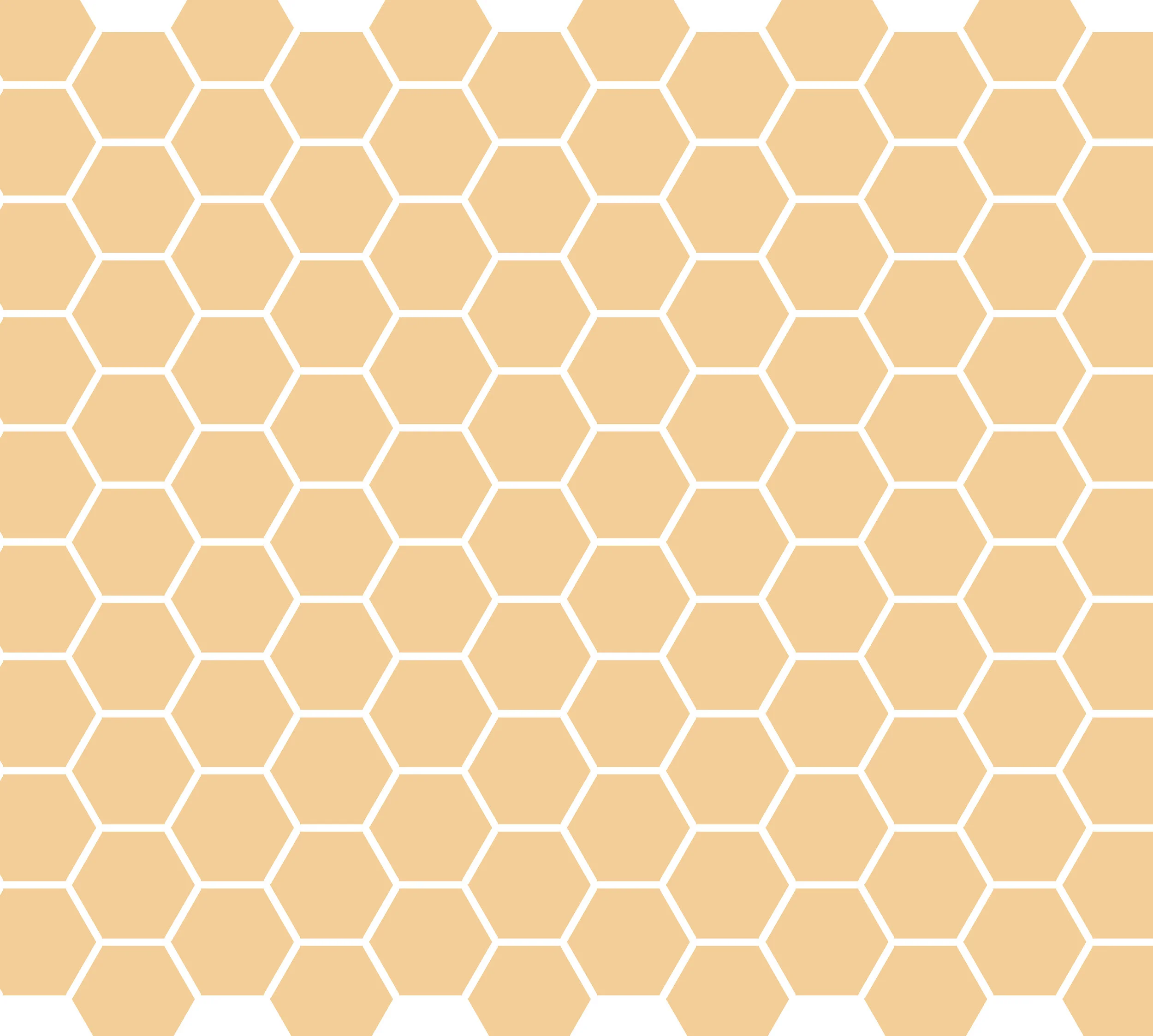 orange hexagons.jpg