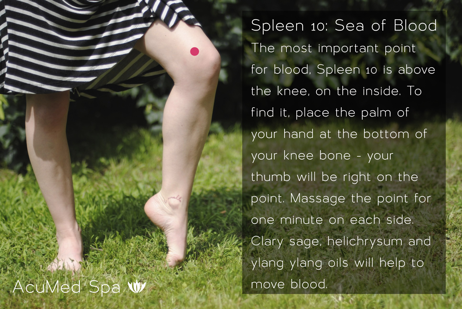 4 Ways to Treat Eczema Naturally Dragonfly Acupuncture & Massage