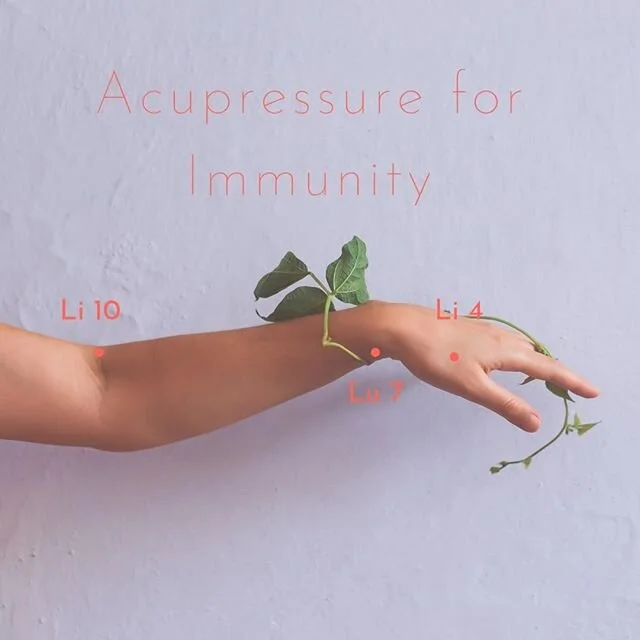 Dragonfly Acupuncture & Massage Greenville SC Dragonfly Acupuncture