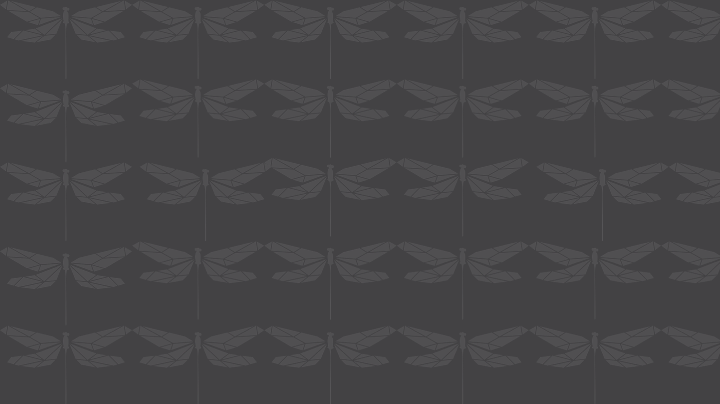 Dragonfly Acupuncture & Massage Greenville SC About Dragonfly