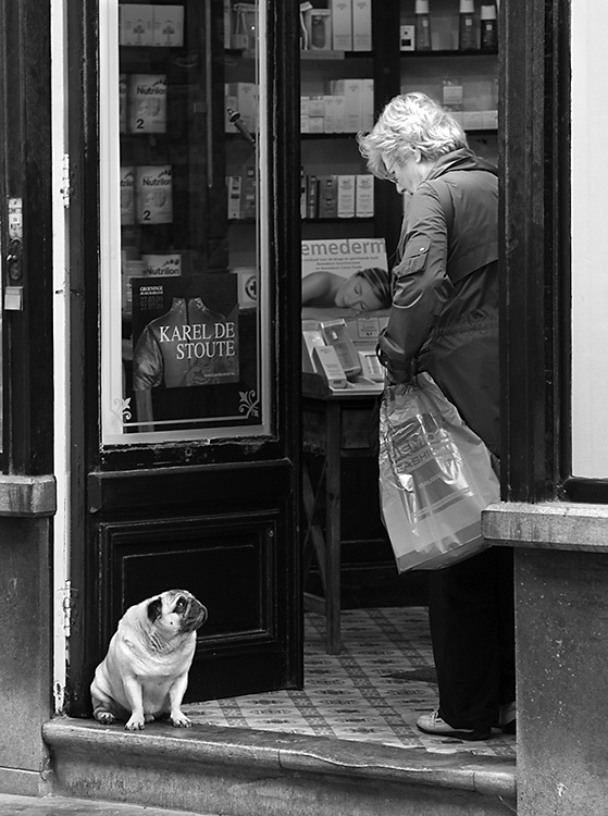 Woman and Pug on Threshold, Bruges 2009