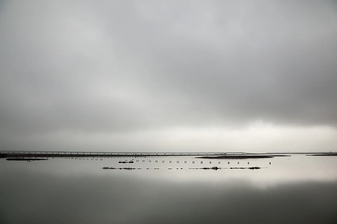 Bayscape, Fremont, CA 2012