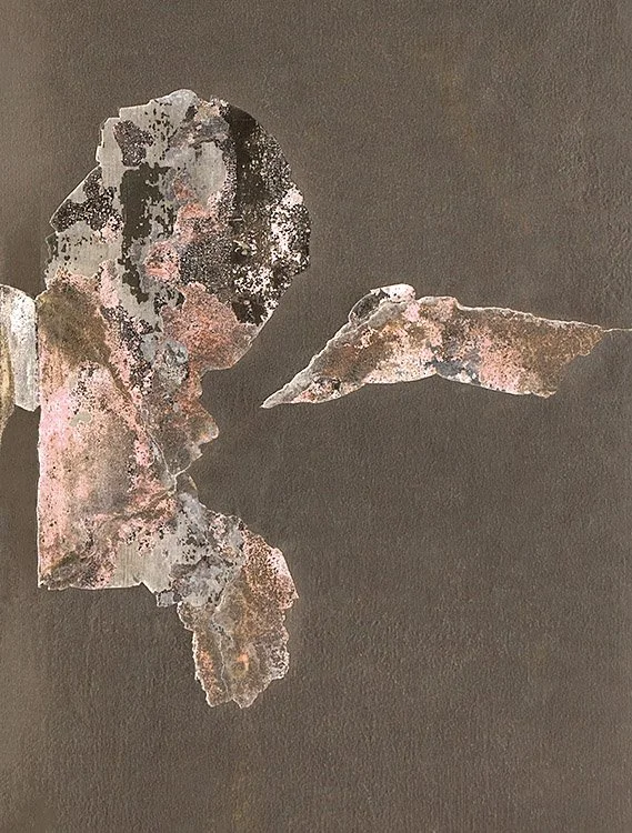 Earliest recorded incident