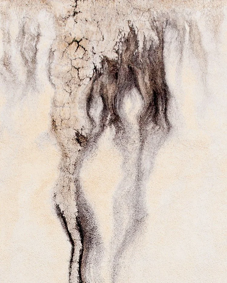 Embrace