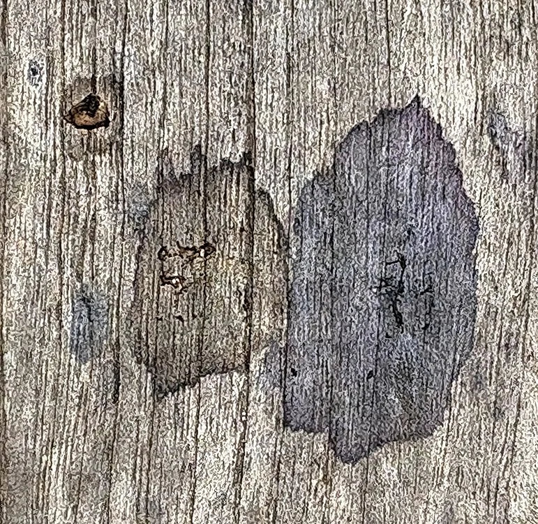 Spots #1