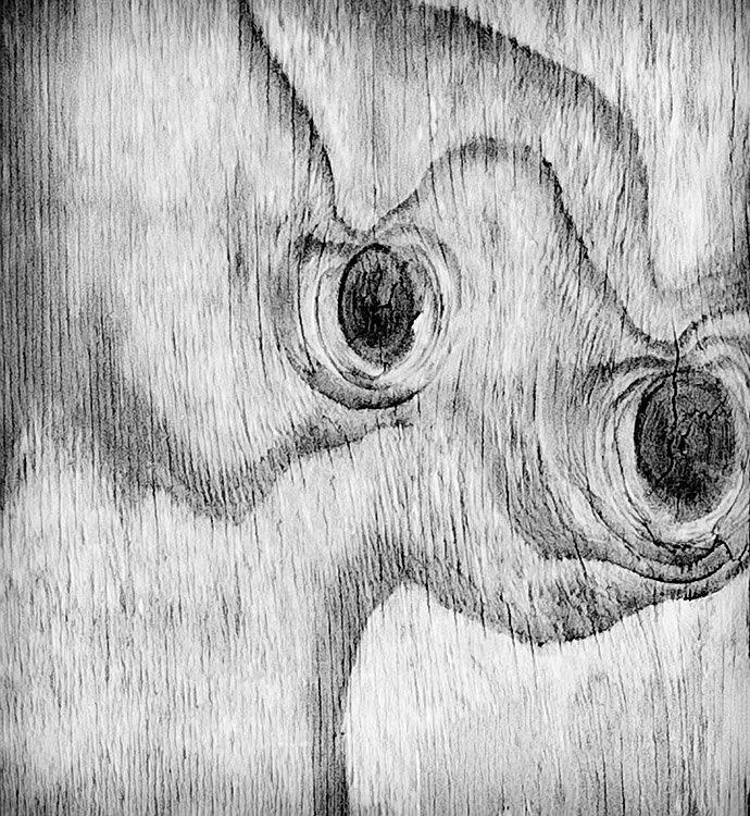 Dryad #5
