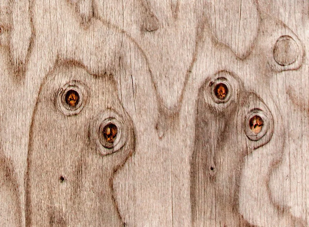 Two of them (Dryad #8)