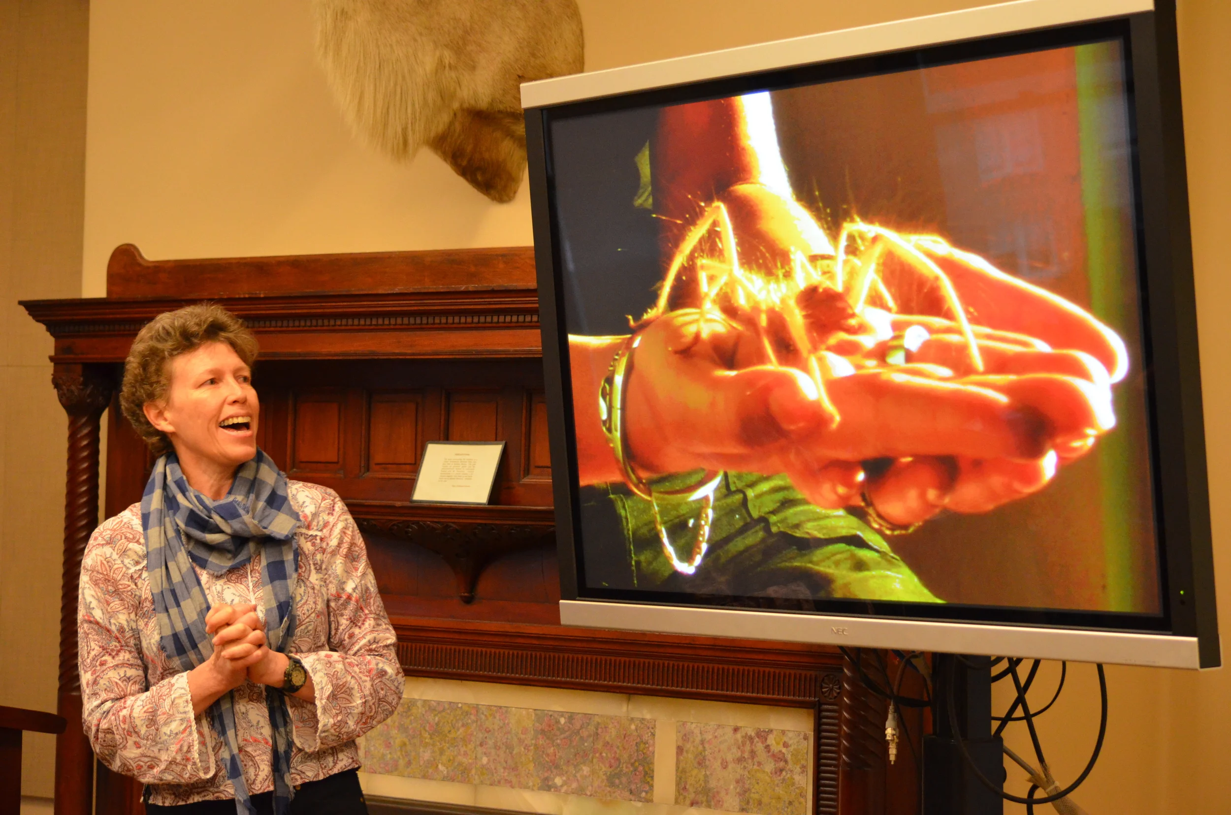  Courtesy of Maurice Chen 