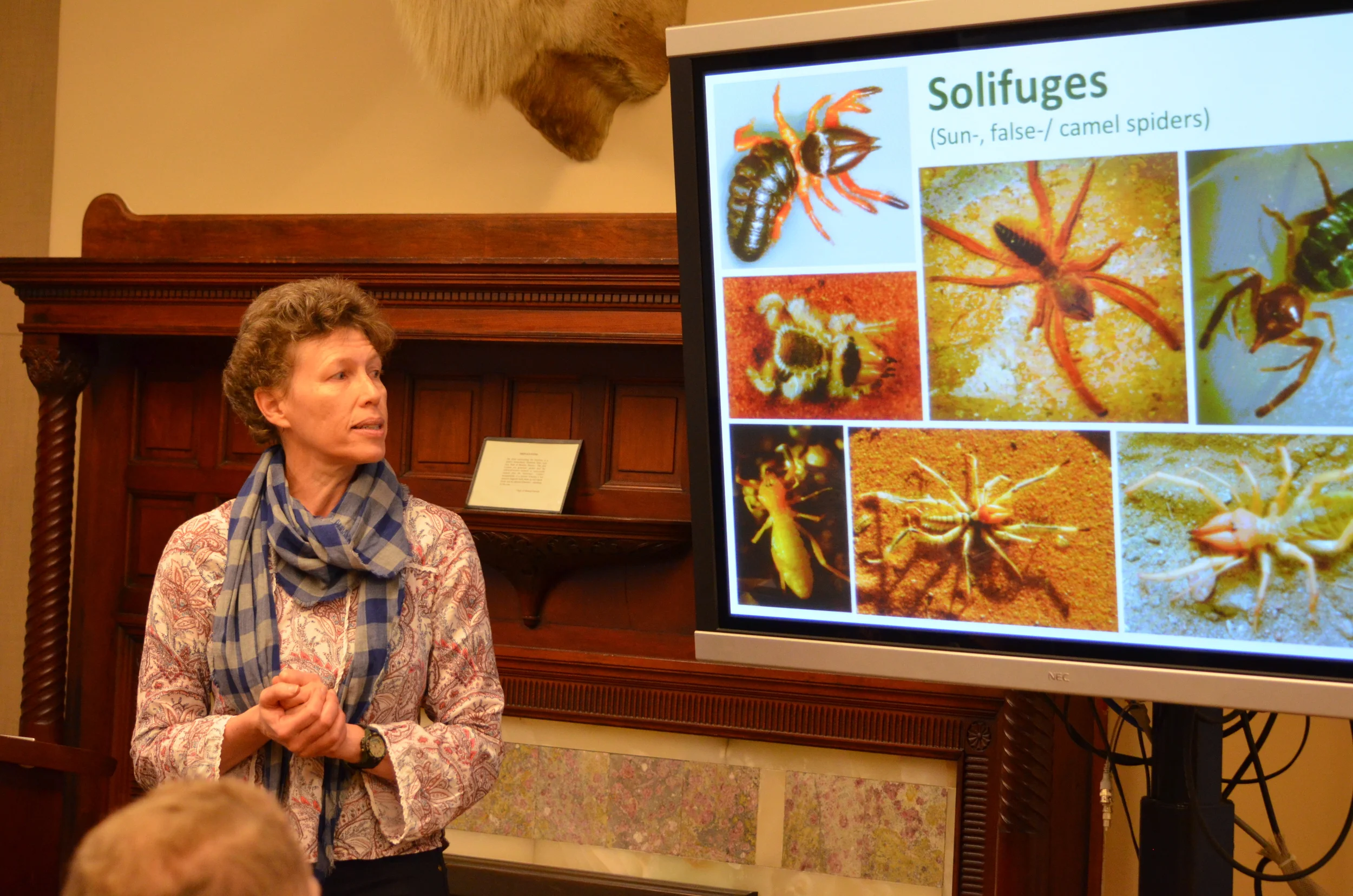  Courtesy of Maurice Chen 