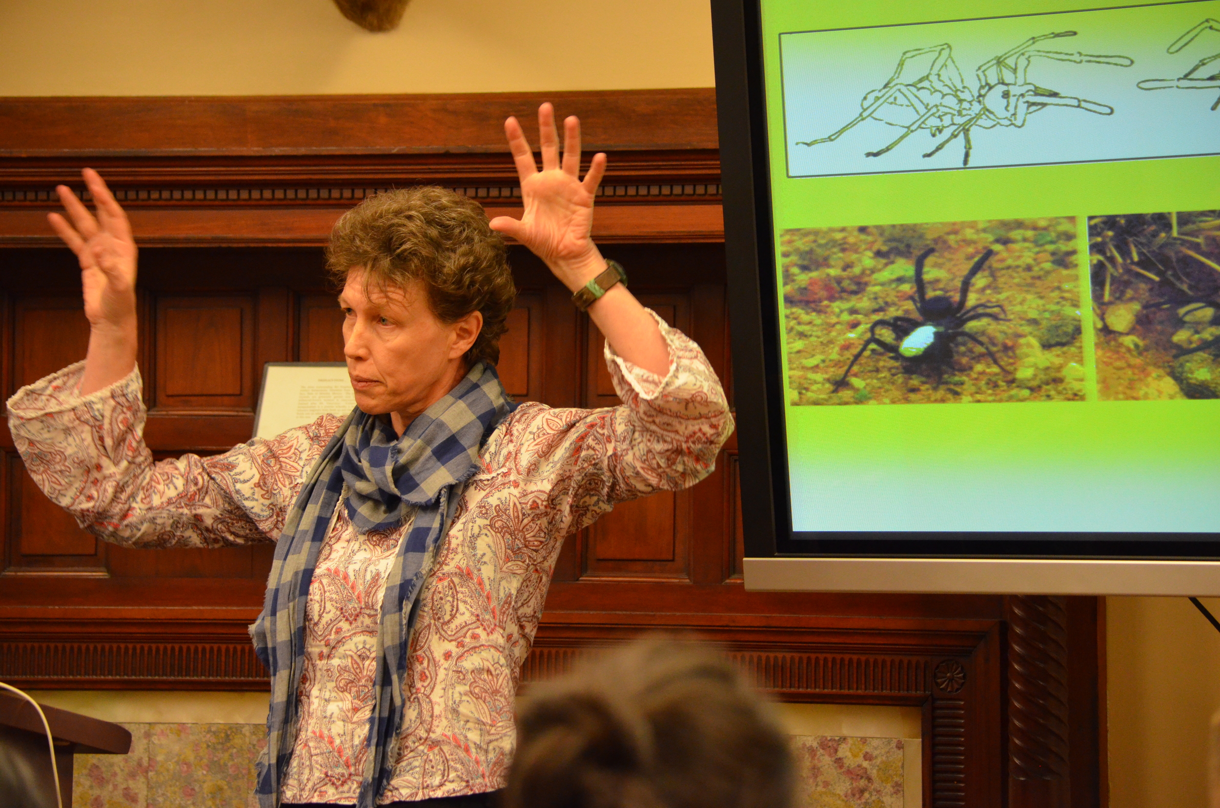  Courtesy of Maurice Chen 