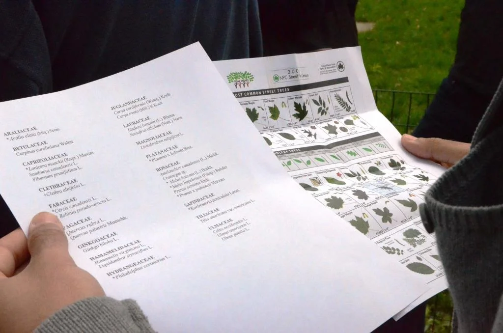  Courtesy of Maurice Chen 