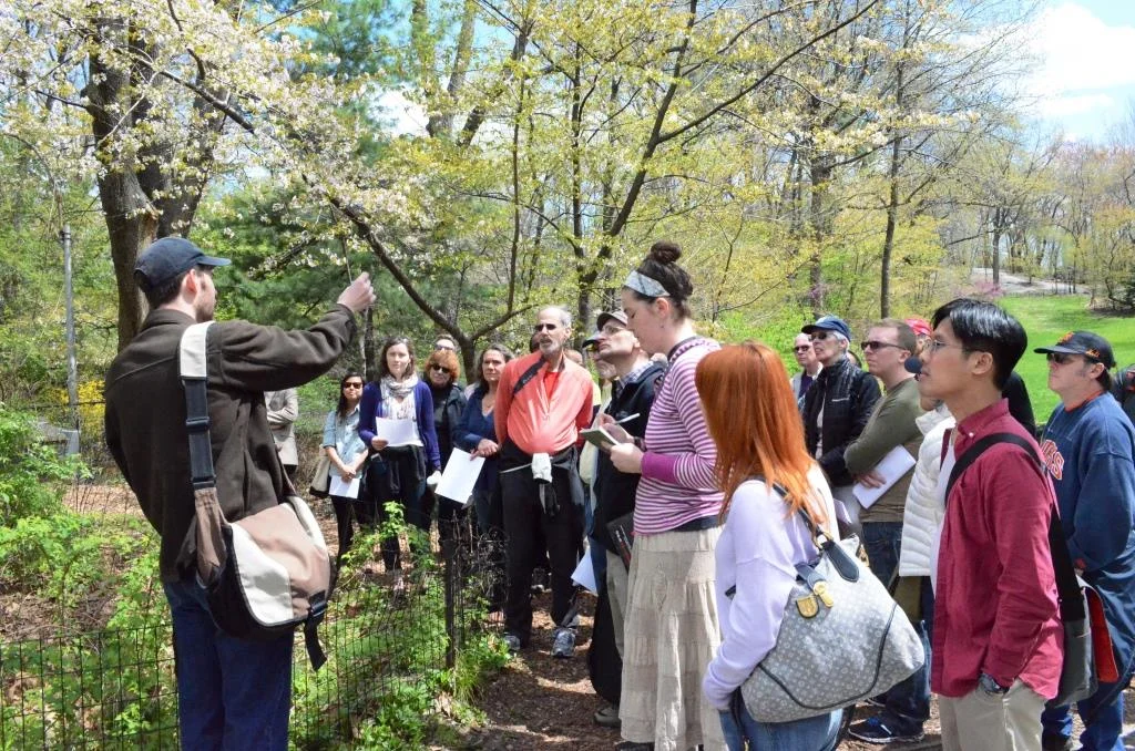  Courtesy of Maurice Chen 