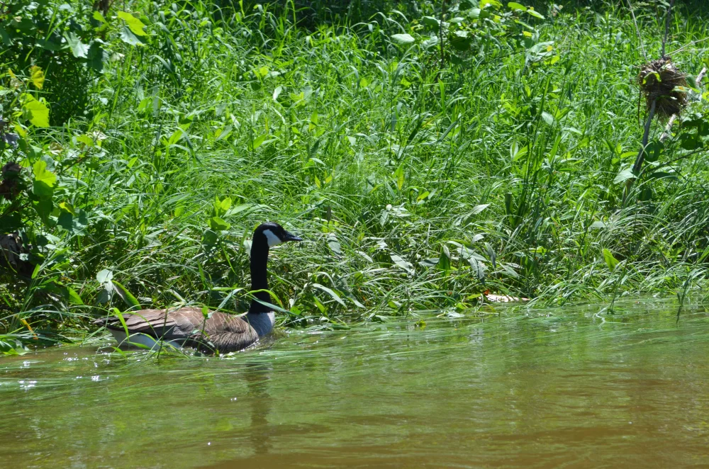 dsc_0655.jpg