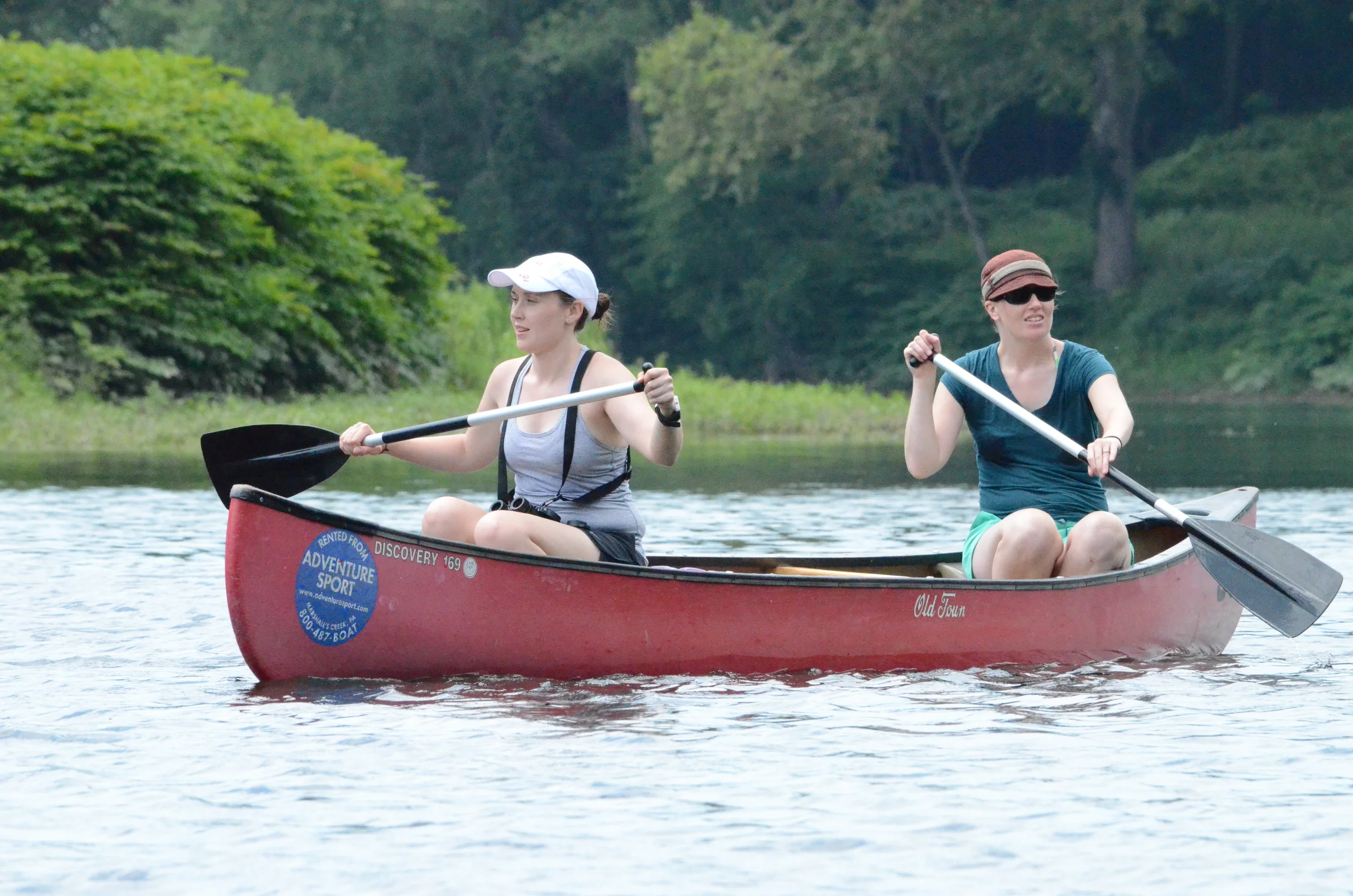  Courtesy of Maurice Chen 