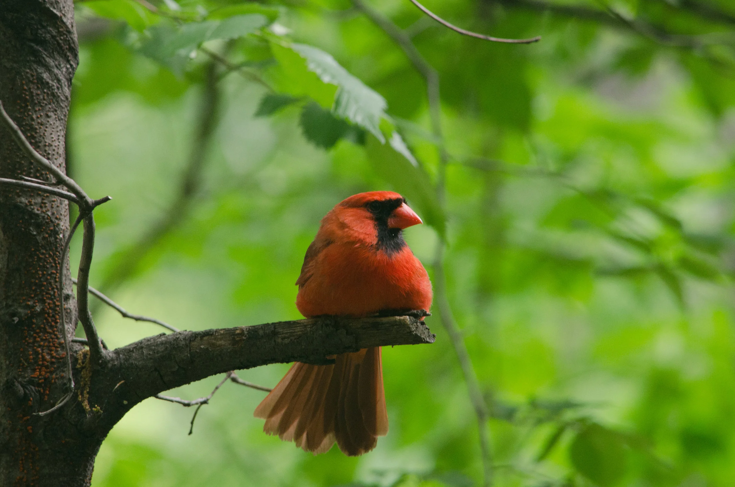 20170519-_DSC1100.jpg