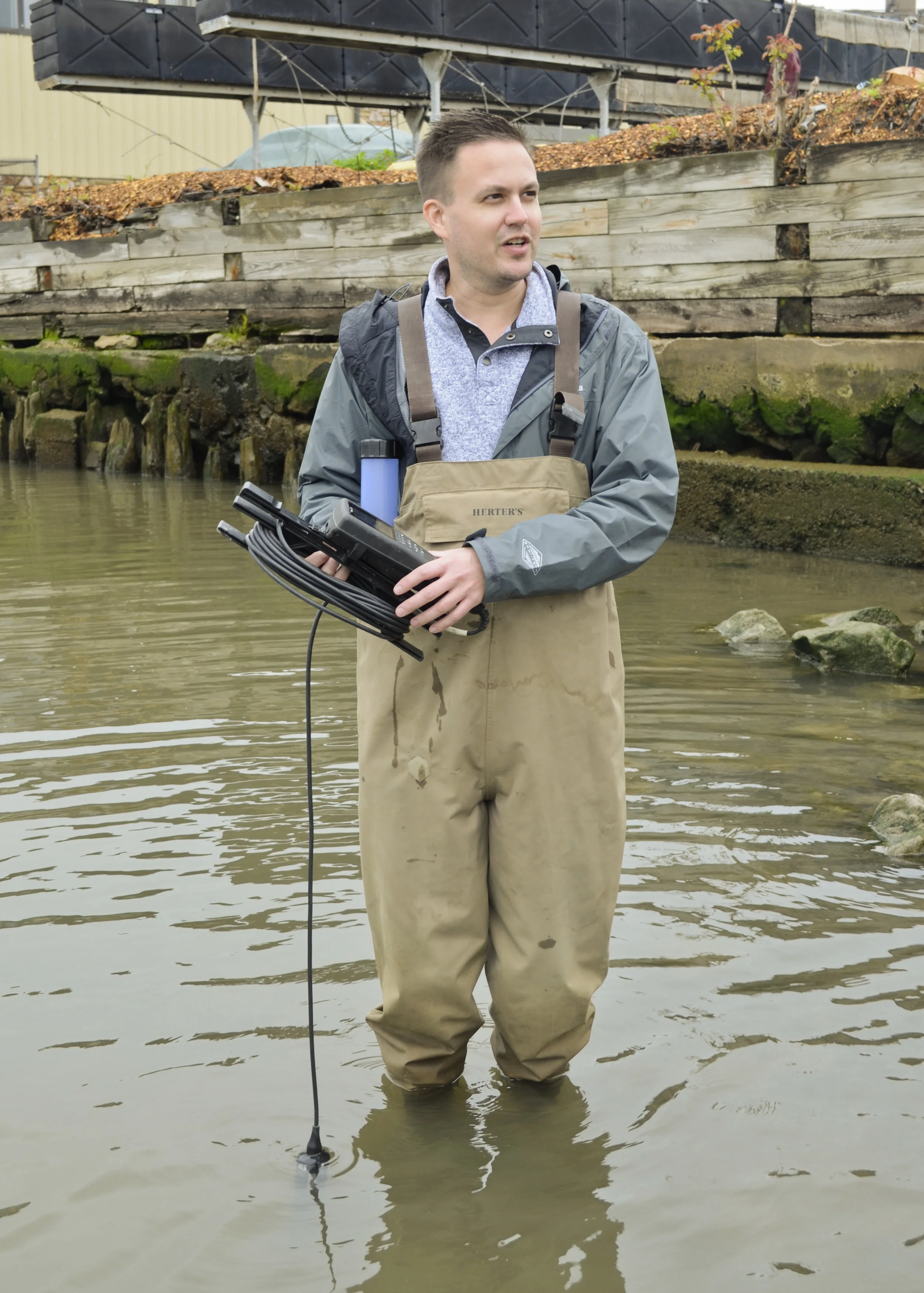 glass_eels_06.jpg