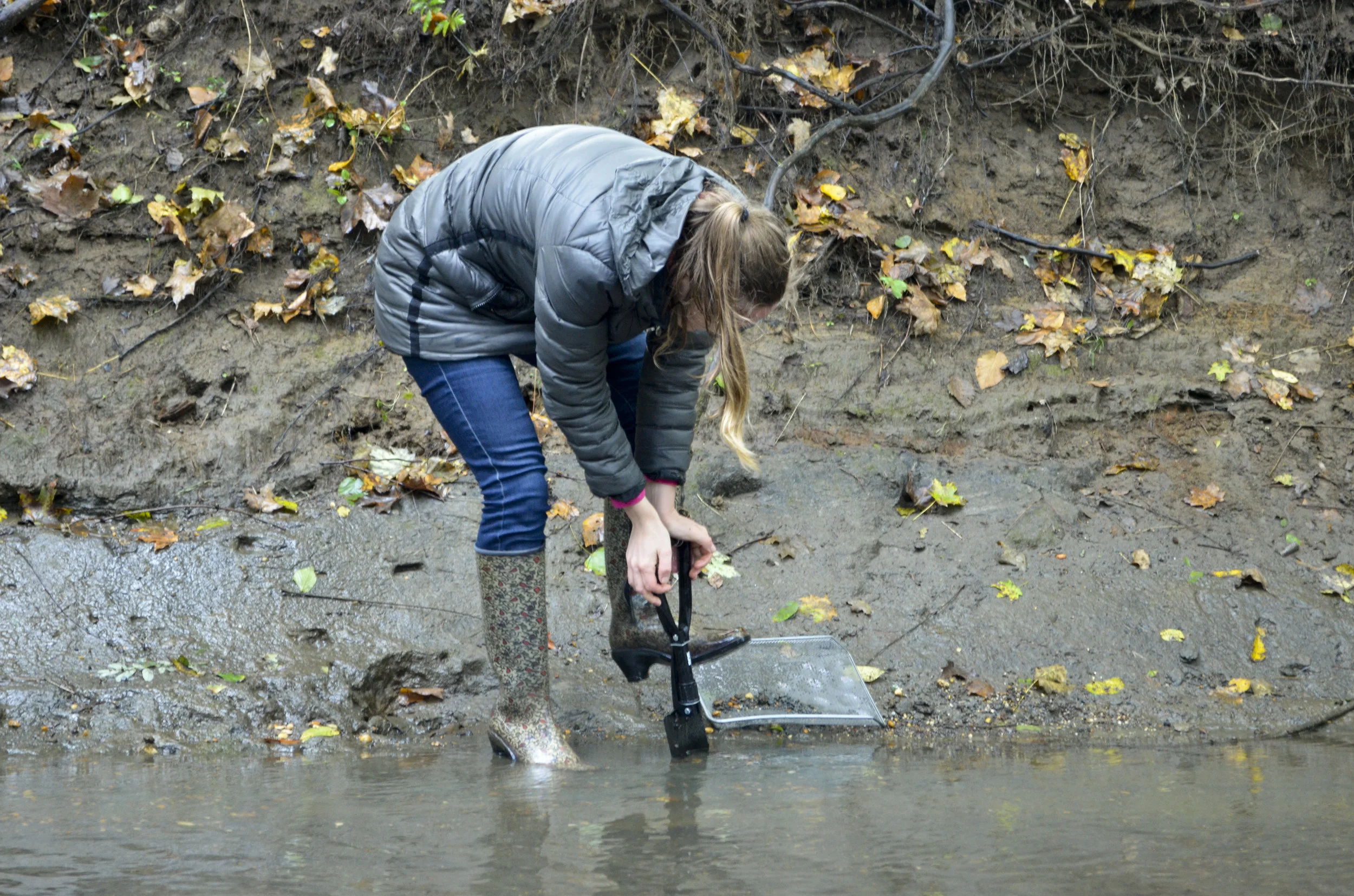 fossil_dig_12.jpg