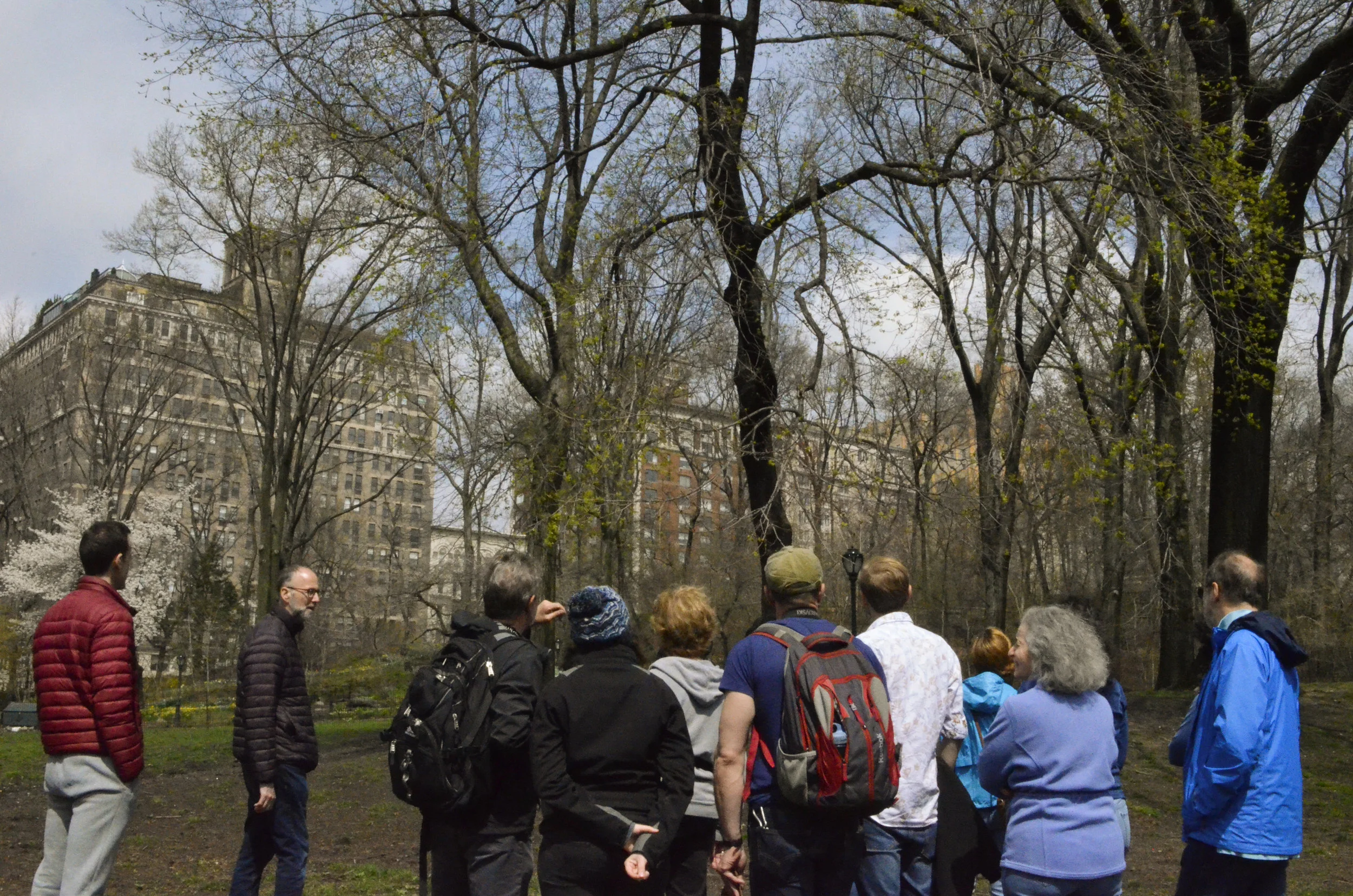2019_botany-walk-CP_18.jpg