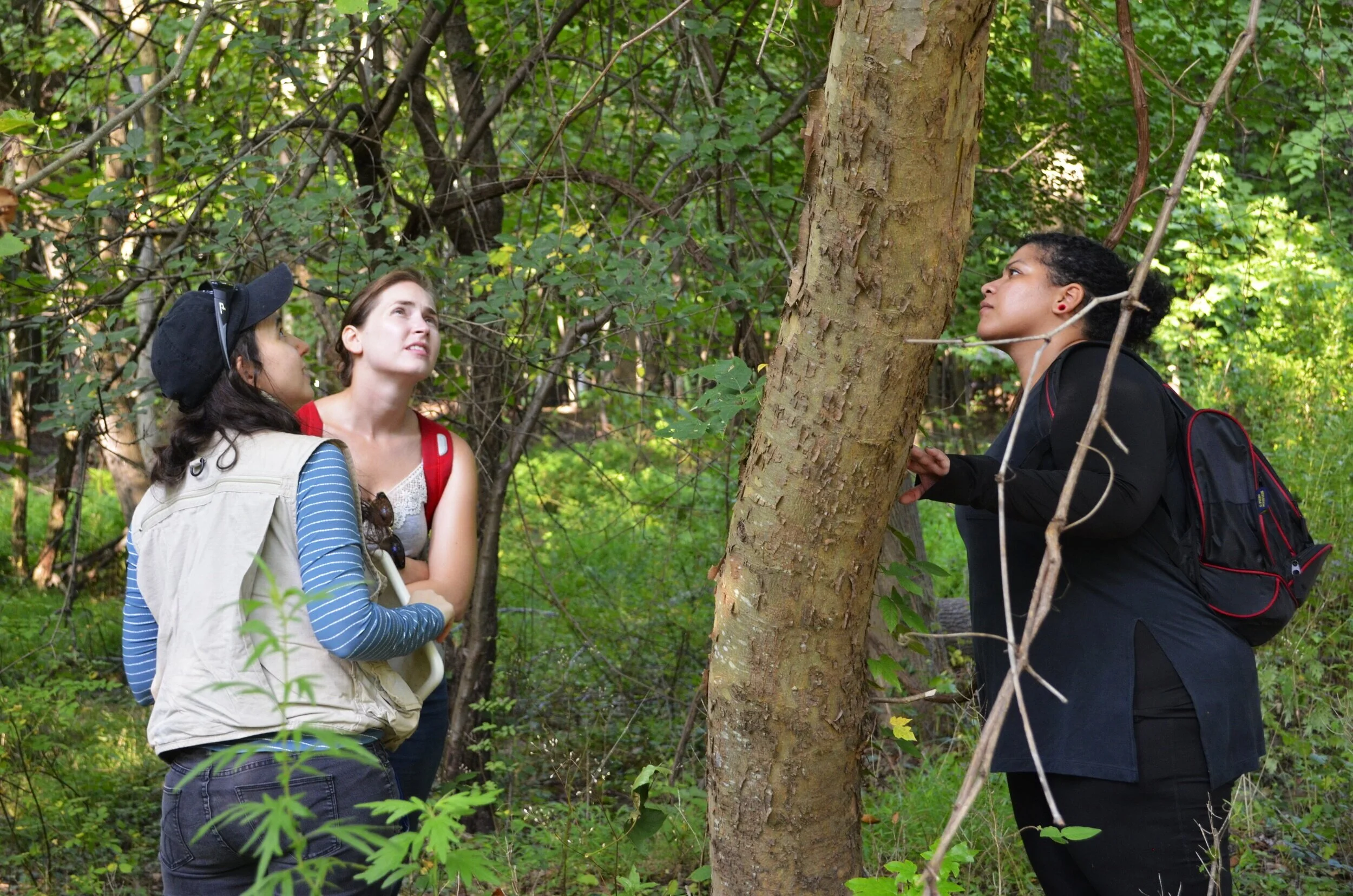  Photo Credit: Lam Ngo 