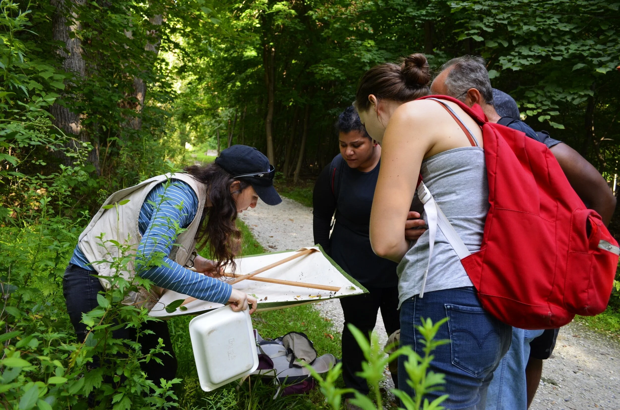  Photo Credit: Lam Ngo 