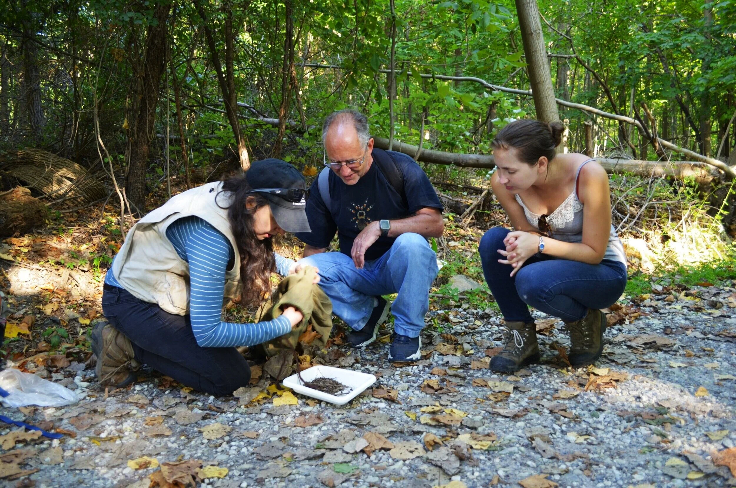  Photo Credit: Lam Ngo 