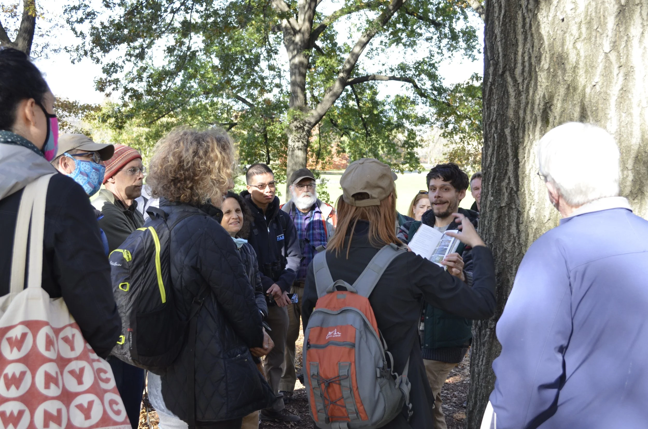 Photo Credit E. Morton