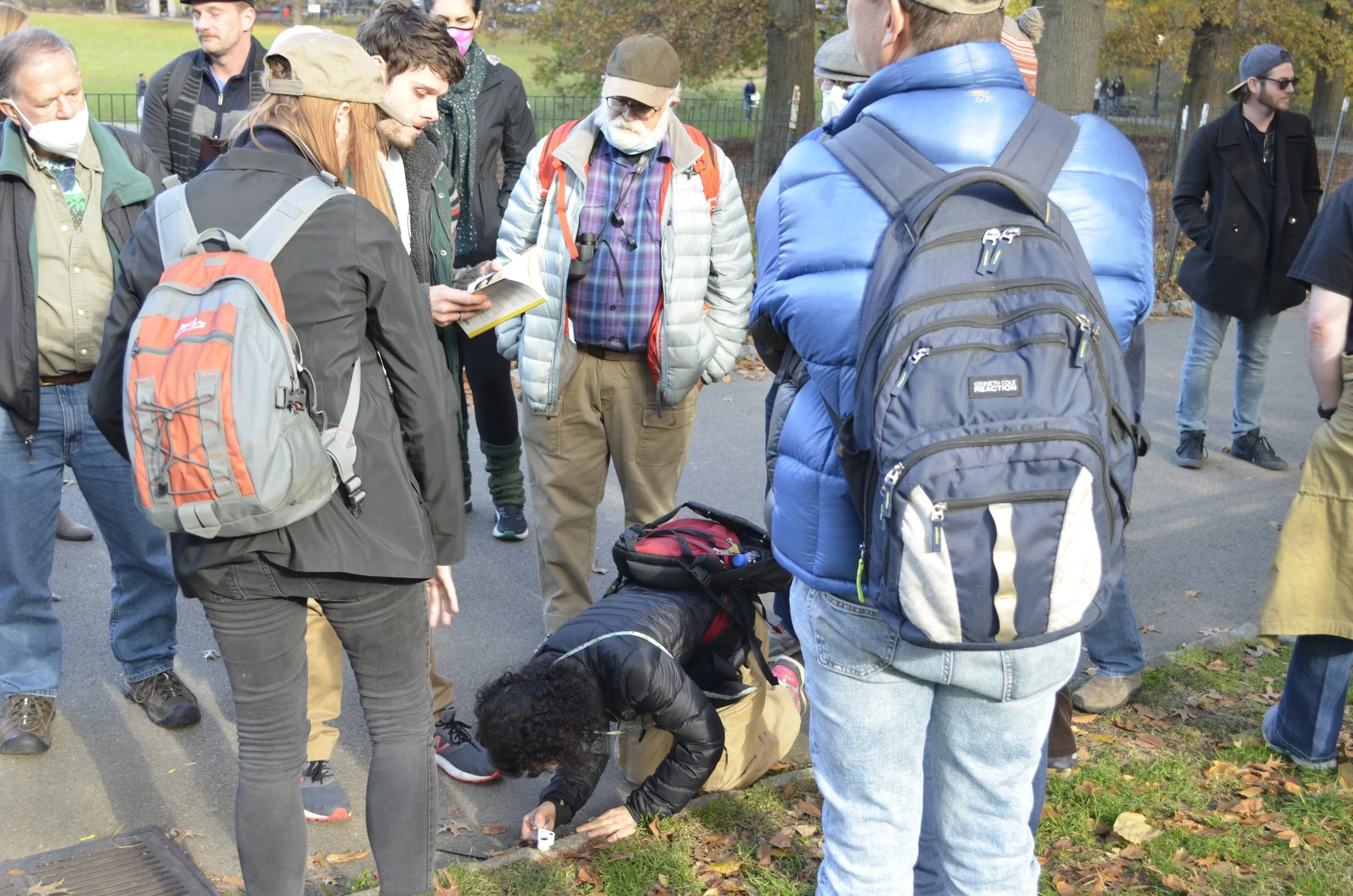 Photo Credit E. Morton