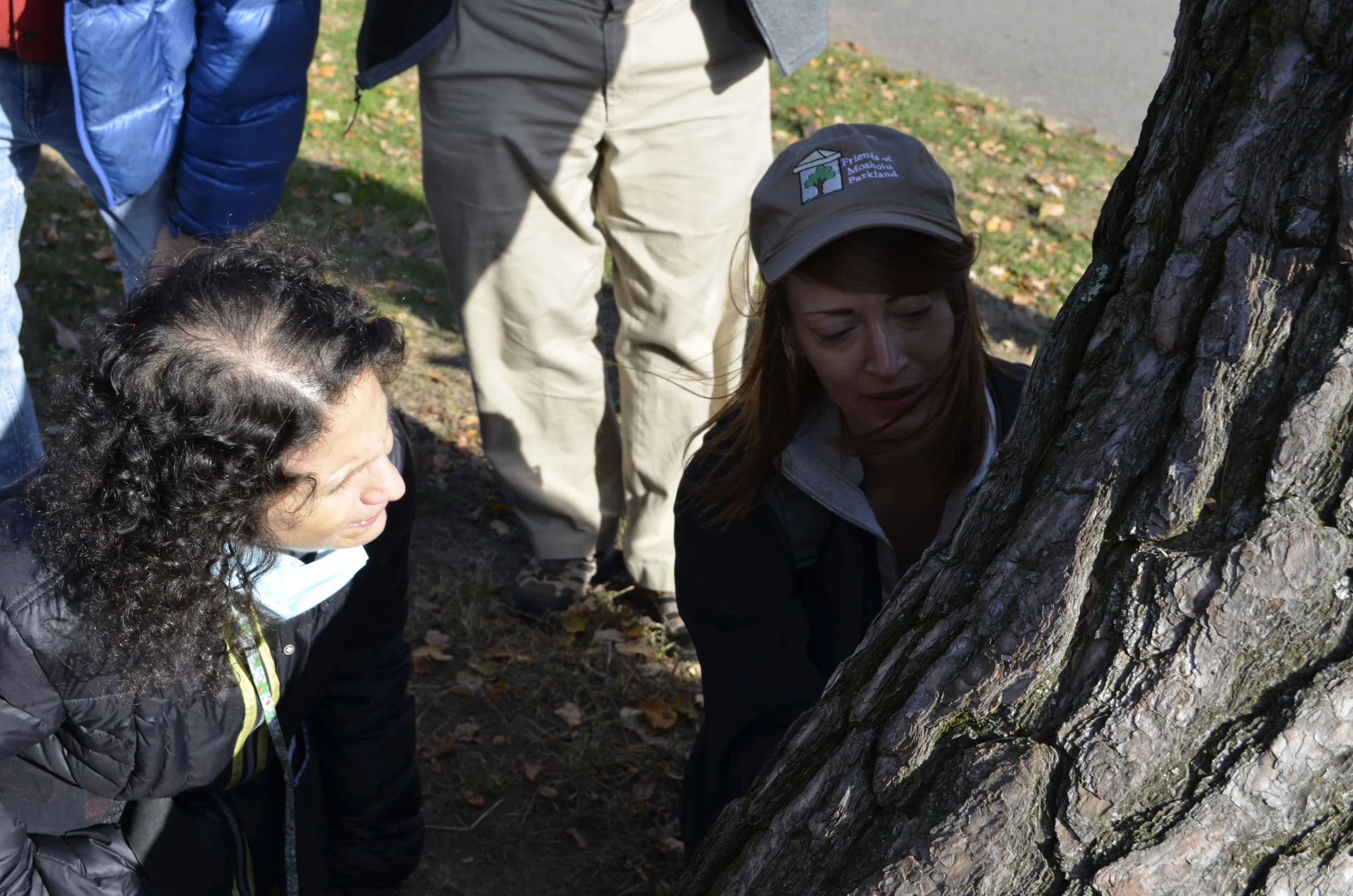 Photo Credit E. Morton