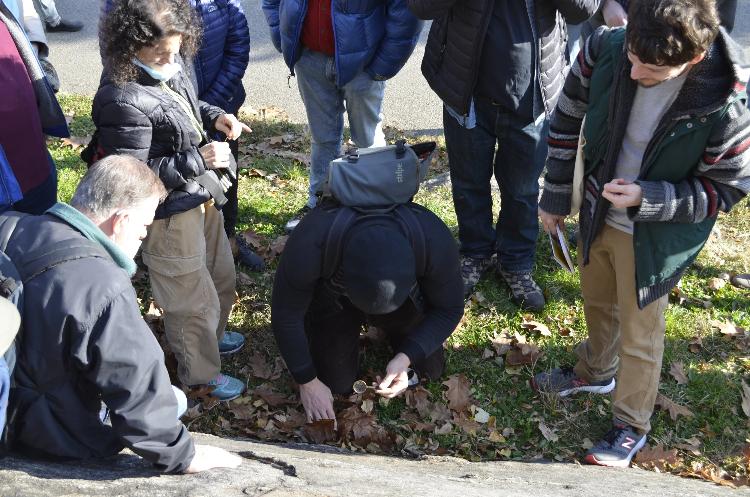 Photo Credit E. Morton