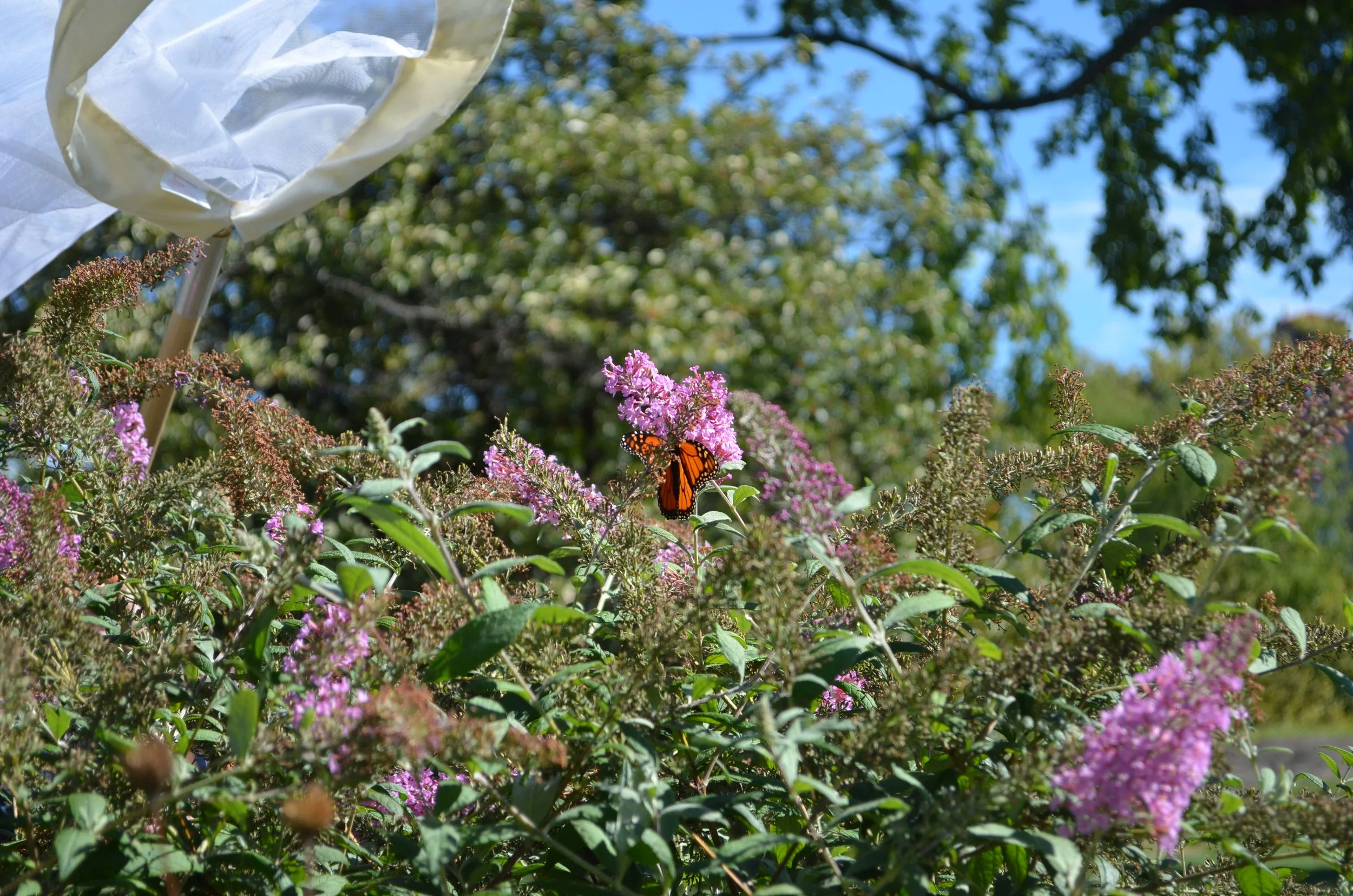 Photo Credit Glenn Doherty