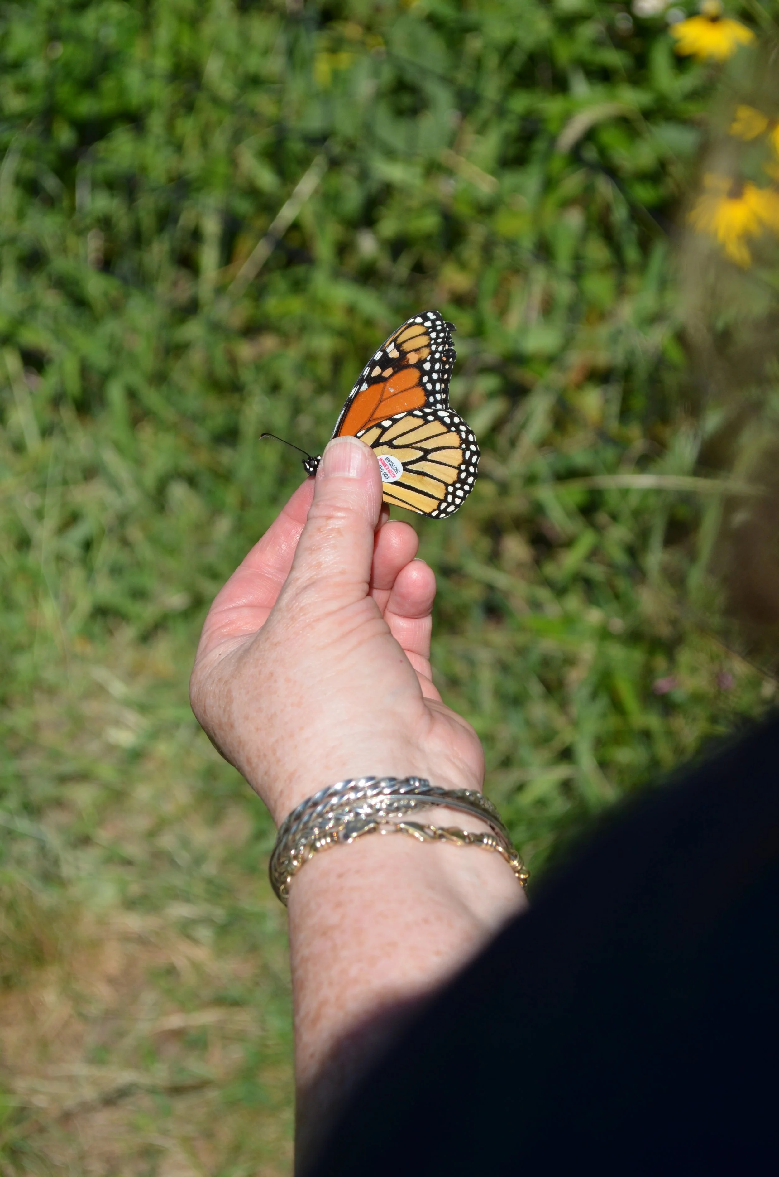 Photo Credit Glenn Doherty