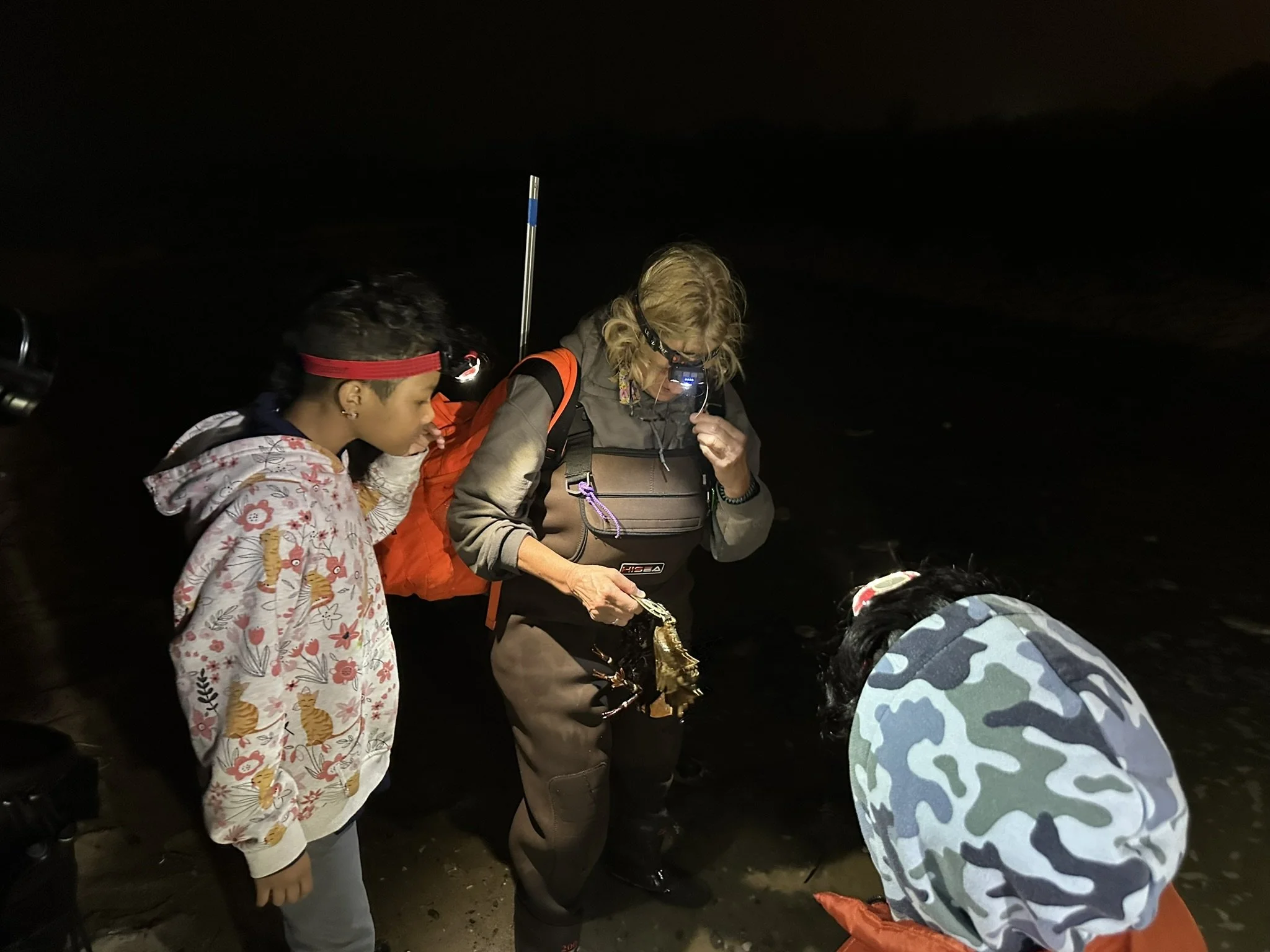 7-6A20E457-70D7-4780-B1F8-3C1E769E3683_1_102_o.jpeg