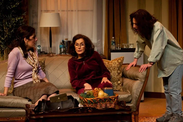 "Under the direction of David Wolber , this magnificent cast of three churns through a two-hour running time in the blink of an eye. Together, the trio expertly maneuvers the exhausting beats of the play's real-time presentation, reconnecting and disconnecting with admirable fluidity and showing the serious and absurd duality of the parent-child dynamic. The production elements generously complement but don’t stand in for finely tuned characterization and chemistry, which lay the groundwork for this hard-fought comedy. With its sharply funny sensibility overlaying painfully familiar relationship patterns, 'The War Since Eve' is a superlative production of a bright new script that any viewer may appreciate, but women (and their mothers — or their daughters) will laugh the hardest with cathartic recognition and affection." - Carolyn Hayes ,Rogue Critic