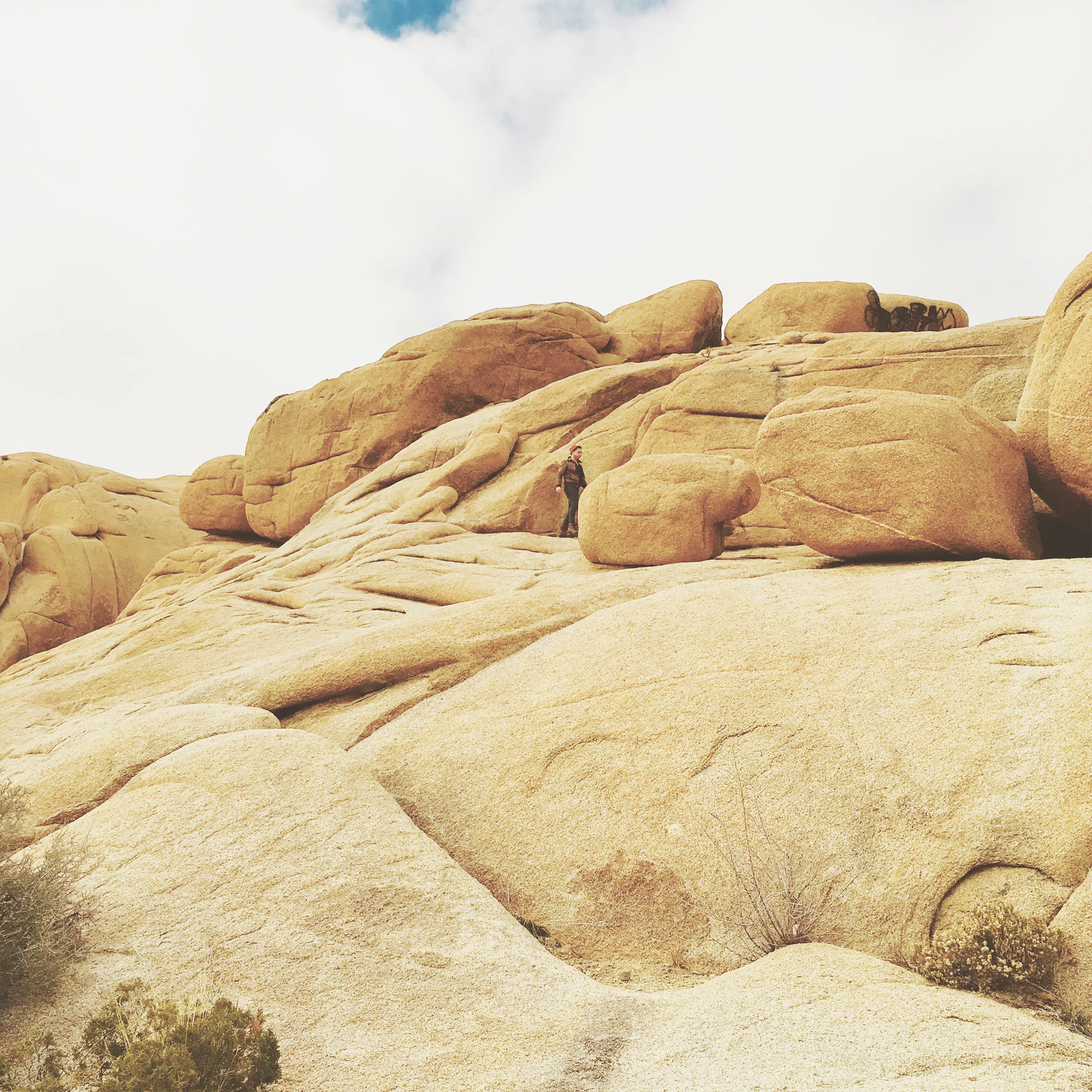 Giant rocks of Joshua Tree National Park, CA
