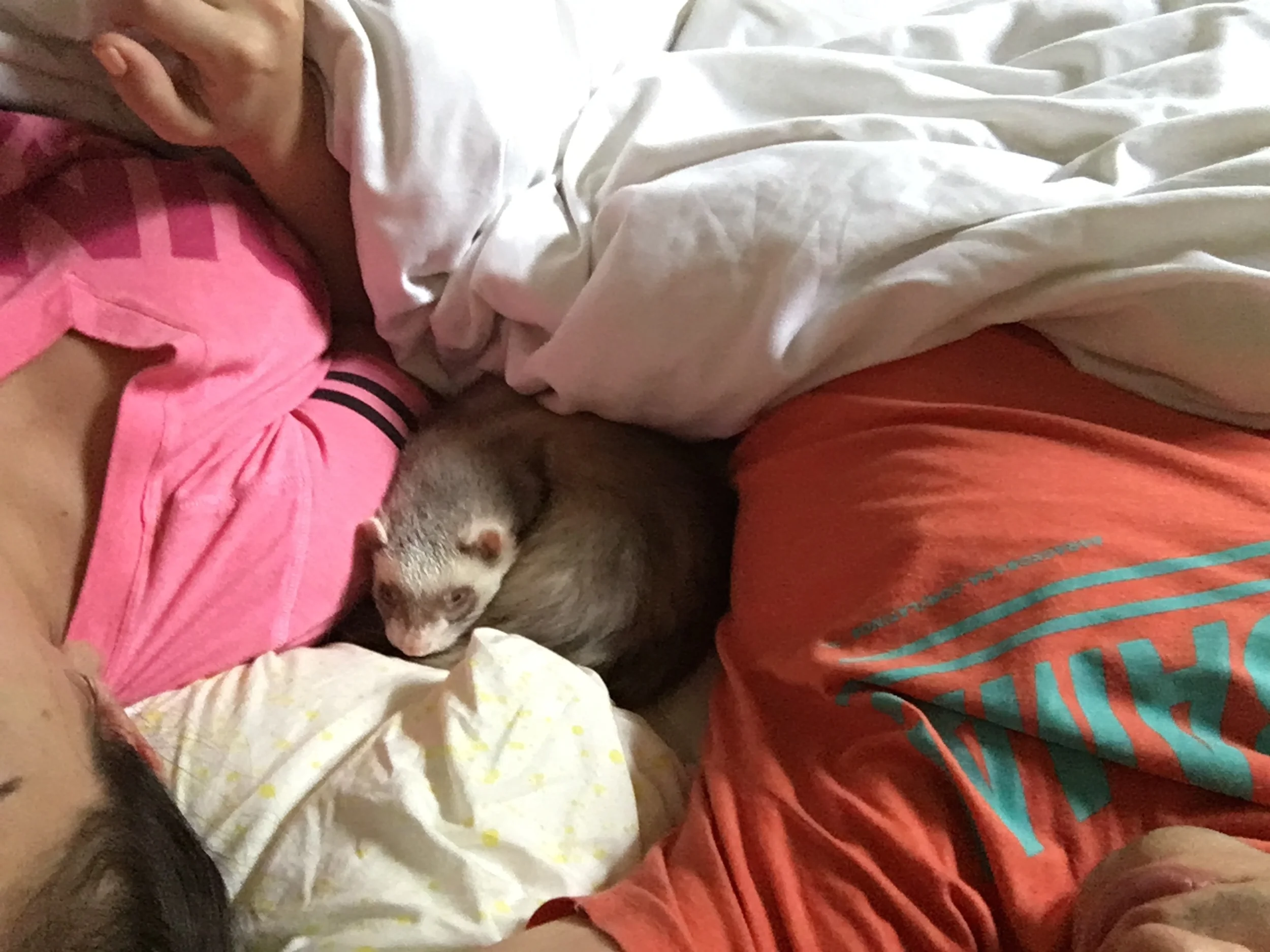 Waking up in pain isn't quite the same when I've got these guys by my side.