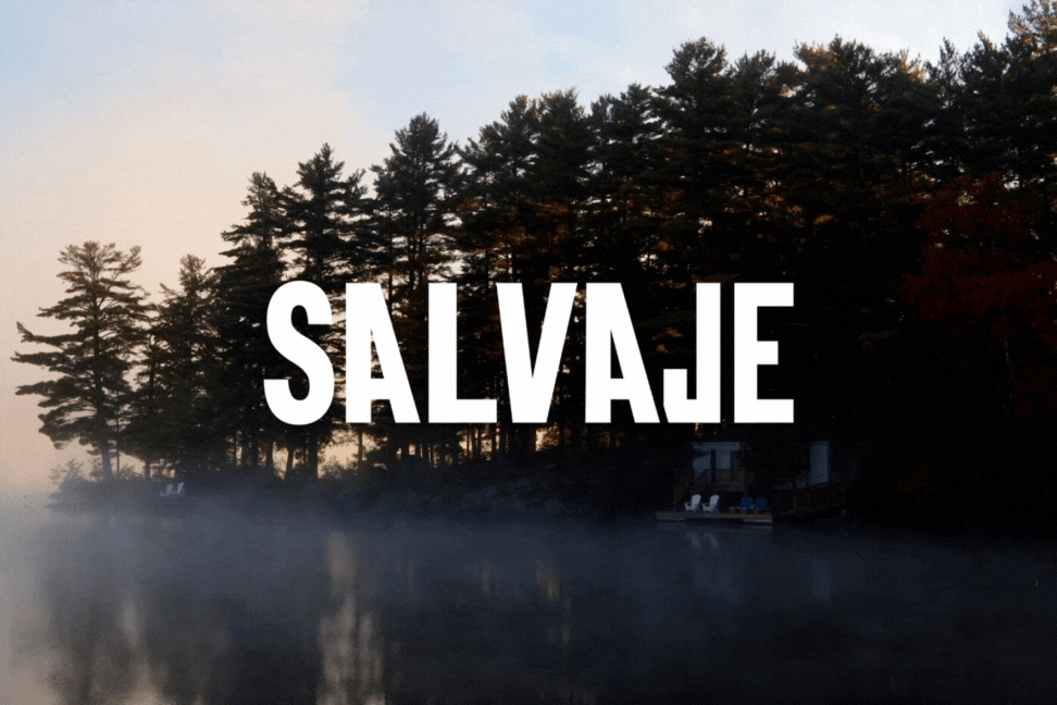 Untitled design (1).gif