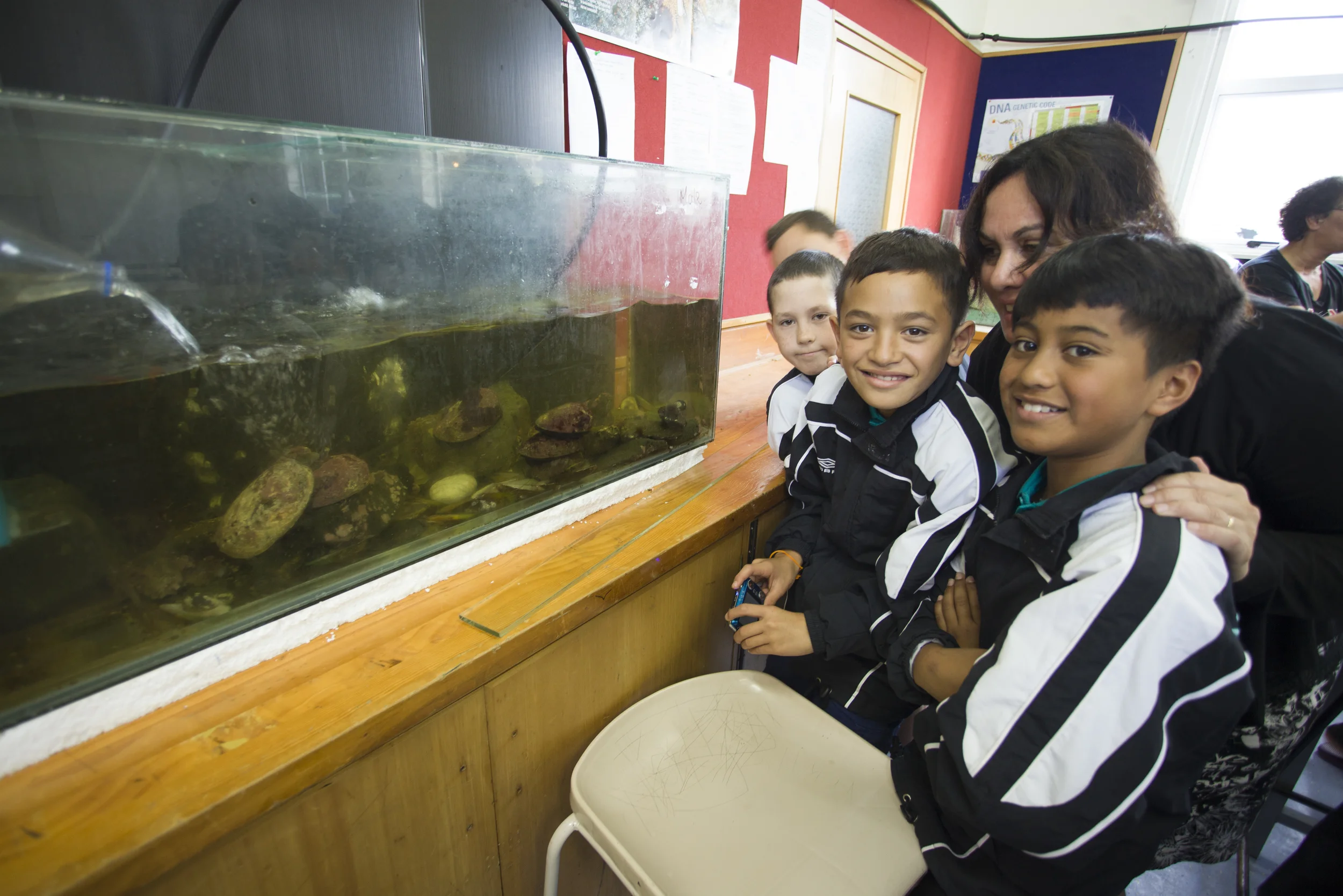 Primary age students investigating Kaitaia College's paua breading system. 
