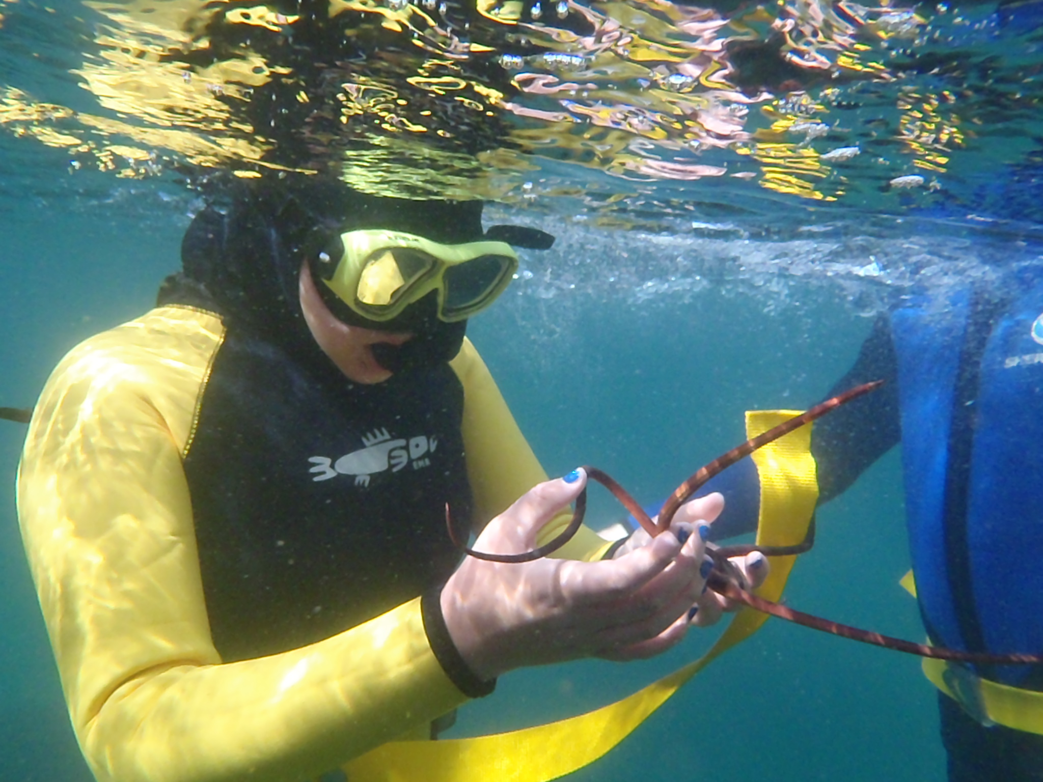 Outside a marine reserve Kaitaia College students on the Moana Restoration course are looking below the surface. Students record and monitor what lies beneath the surface of their marine classroom. 