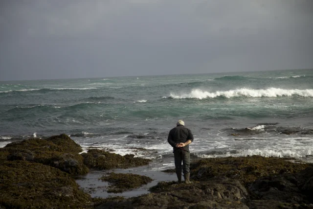 Tauroa Point is the site of a no take rahui. Haami Piripi of Te Rarawa lifted the rahui to gather a eight adult paua as brood stock for Te Piri Paua Collaboration Project. Students from Kaitaia College will be growing paua to re-seed sites bordering the rahui site. 