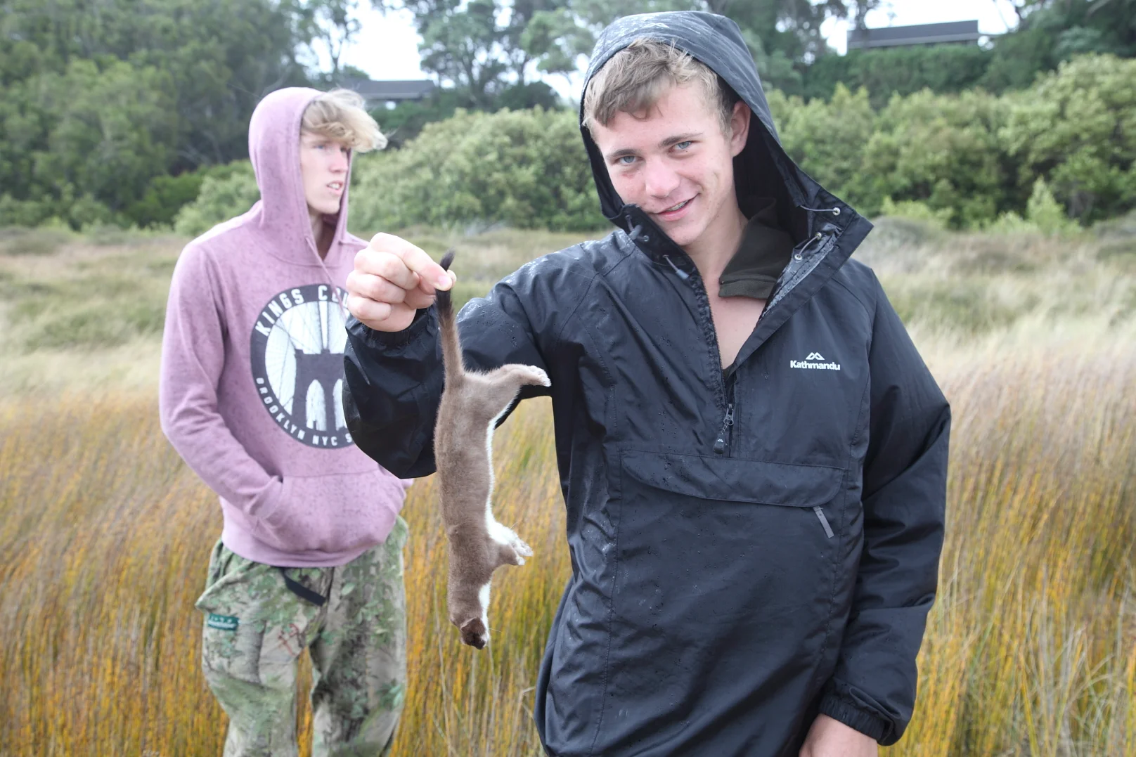 One less stoat for Fairy Terns to contend with on the Waipu sand spit.