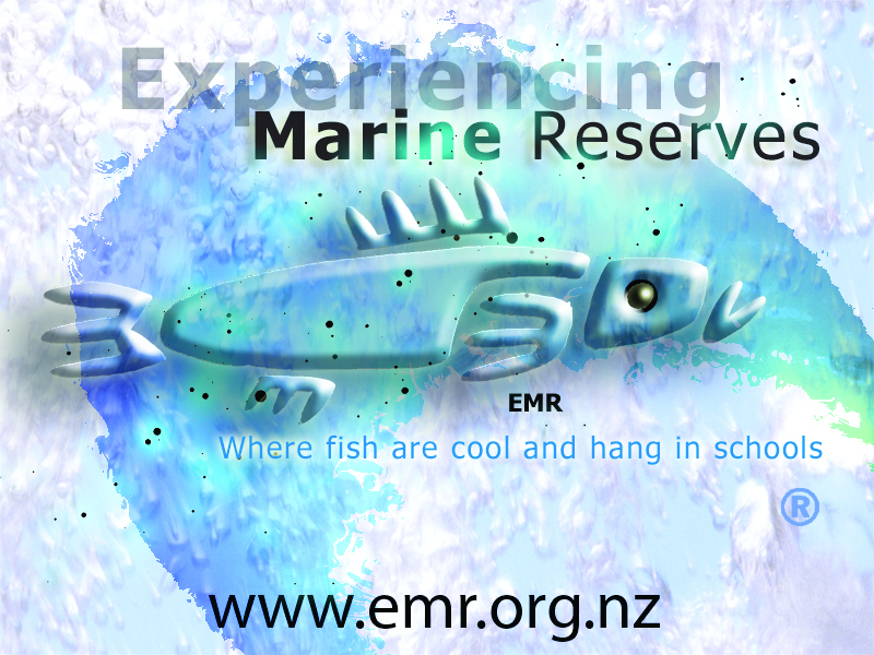 Papa Taiao Earthcare is partnering with Experiencing Marine Reserves who is delivering the Snorkel Dive with Safety components of Wai Restoration.