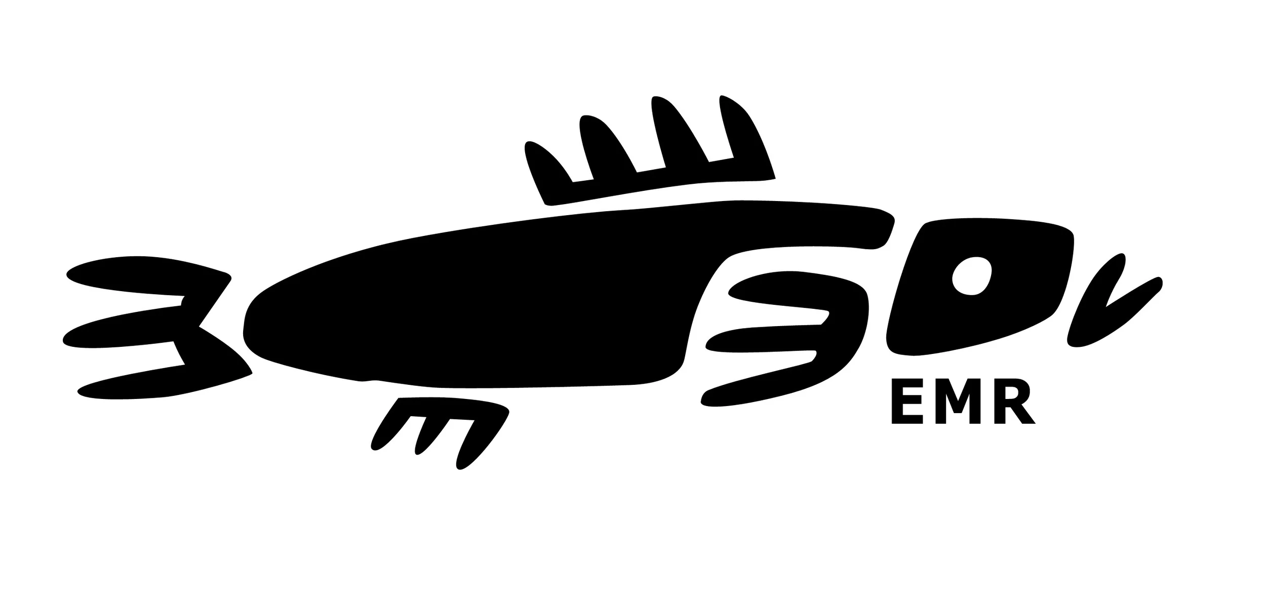 Papa Taiao Earthcare is partnering with Experiencing Marine Reserves who delivers the Snorkel Dive with Safety course as part of the Moana Restoration programme.
