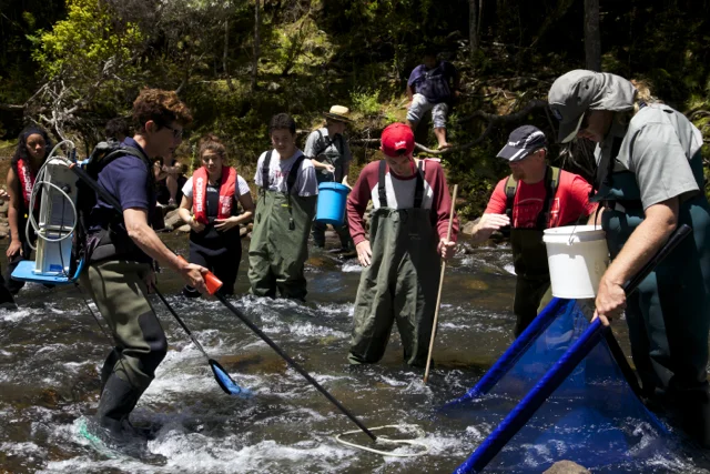 Electric fishing 2016.jpg