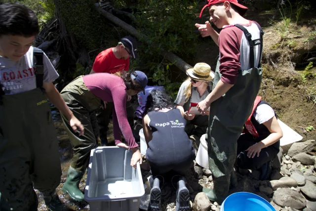 Examining catch:3.jpg