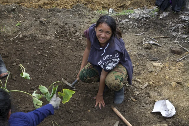 Planting taro.jpg